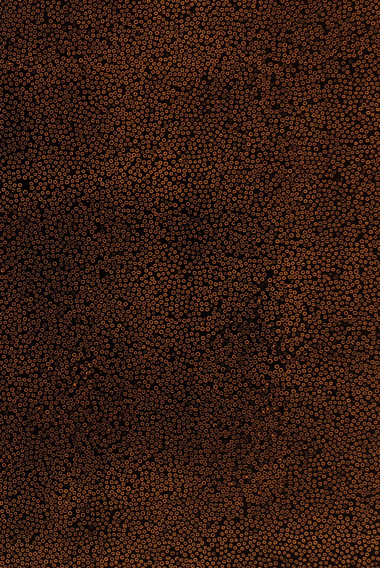 Detail of an original urushi lacquer surface